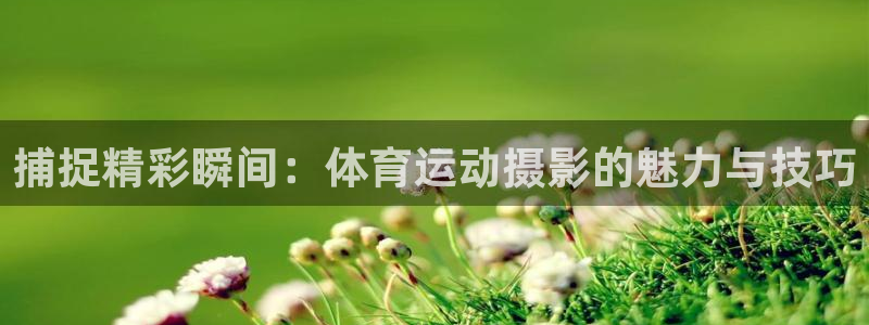 球速体育