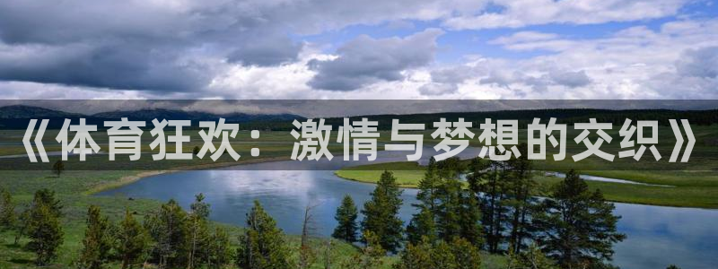 球速体育：《体育狂欢：激情与梦想的交织》