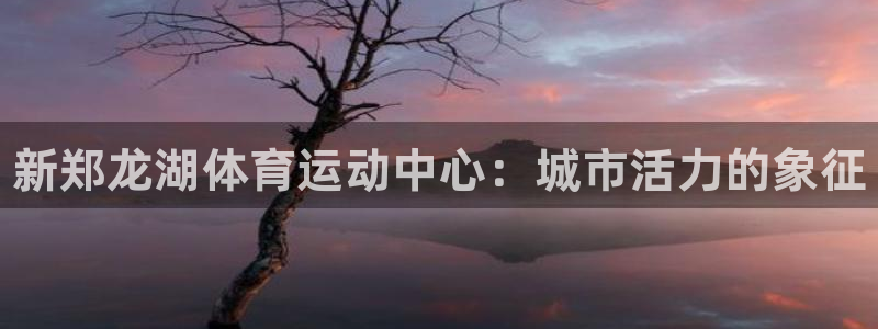 球速体育