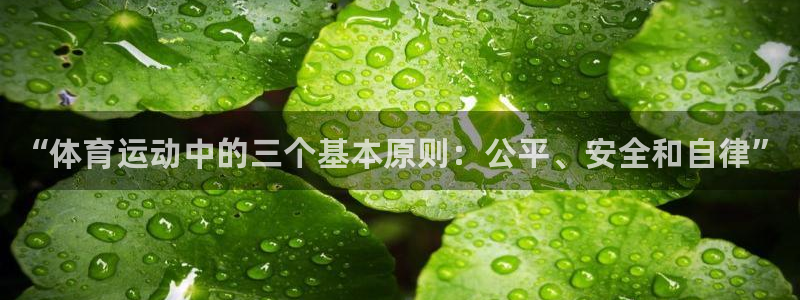 球速体育：“体育运动中的三个基本原则：公平、安全和自律”