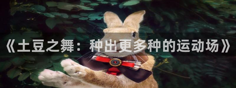 球速体育：《土豆之舞：种出更多种的运动场》