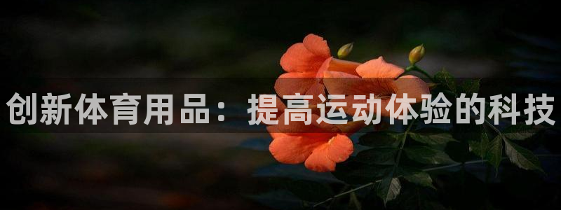 球速体育：创新体育用品：提高运动体验的科技