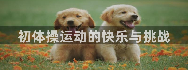 球速体育：初体操运动的快乐与挑战