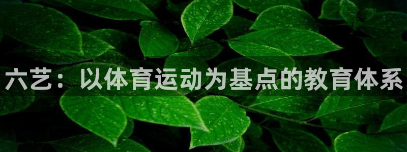 球速体育：六艺：以体育运动为基点的教育体系
