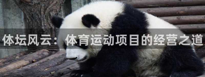 球速体育：体坛风云：体育运动项目的经营之道