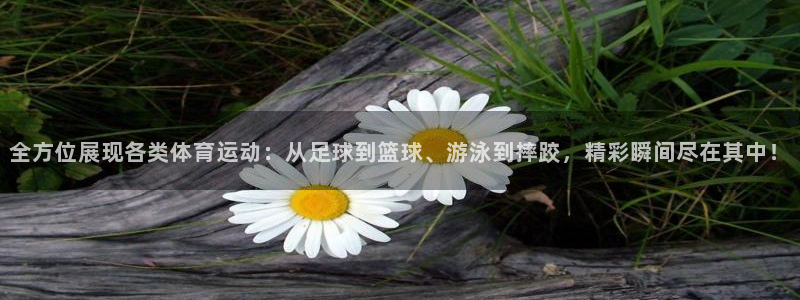 球速体育：全方位展现各类体育运动：从足球到篮球、游泳到摔跤，精彩瞬间尽在其中！