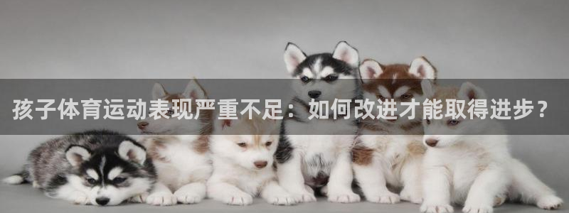 球速体育