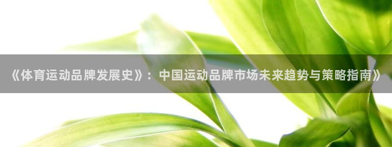 球速体育