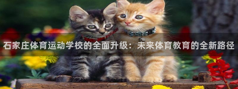 球速体育：石家庄体育运动学校的全面升级：未来体育教育的全新路径