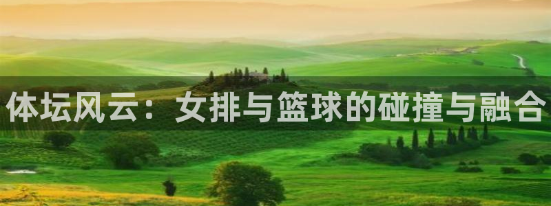 球速体育