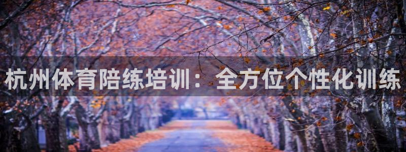 球速体育：杭州体育陪练培训：全方位个性化训练