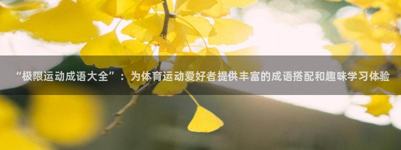 球速体育：“极限运动成语大全”：为体育运动爱好者提供丰富的成语搭配和趣味学习体验