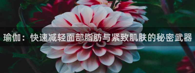 球速体育：瑜伽：快速减轻面部脂肪与紧致肌肤的秘密武器