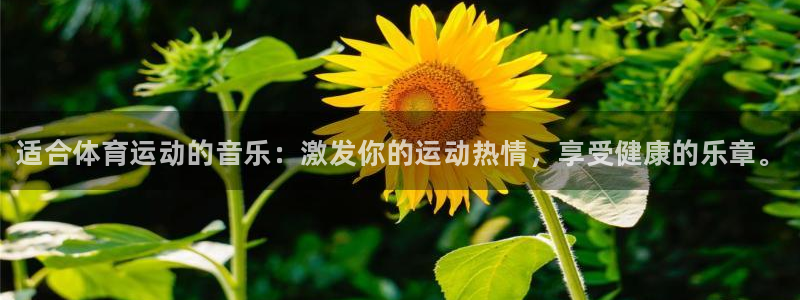 球速体育：适合体育运动的音乐：激发你的运动热情，享受健康的乐章。