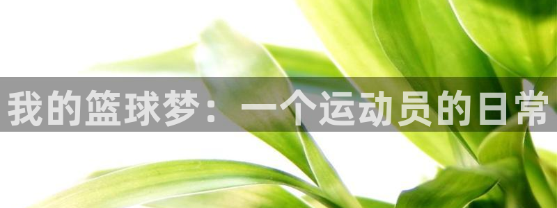 球速体育：我的篮球梦：一个运动员的日常