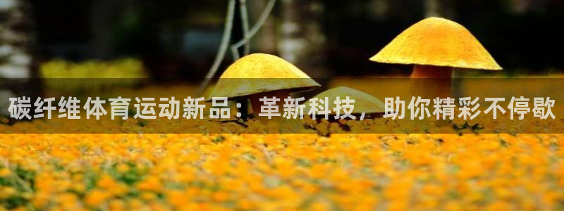 球速体育：碳纤维体育运动新品：革新科技，助你精彩不停歇