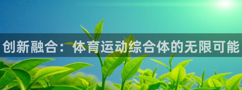 球速体育：创新融合：体育运动综合体的无限可能