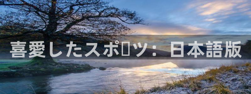 球速体育：喜愛したスポーツ：日本語版