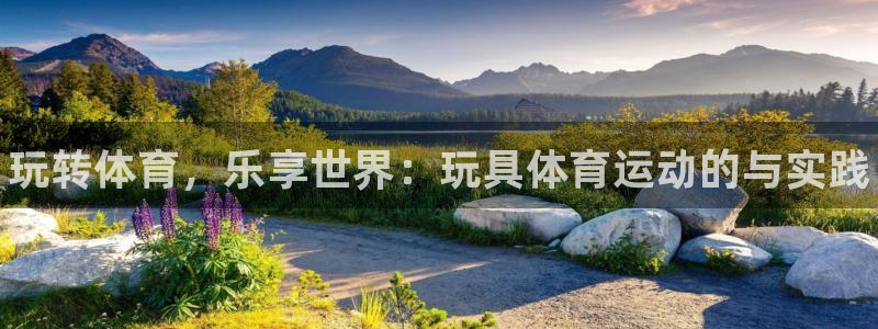 球速体育：玩转体育，乐享世界：玩具体育运动的与实践