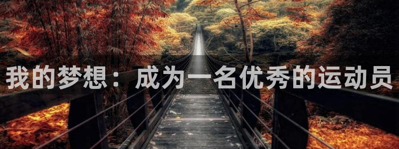 球速体育：我的梦想：成为一名优秀的运动员