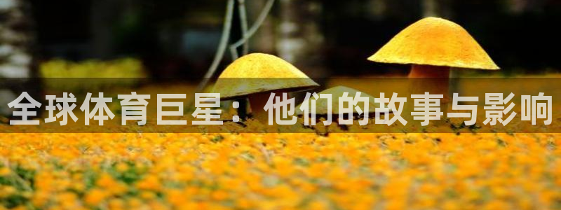 球速体育：全球体育巨星：他们的故事与影响