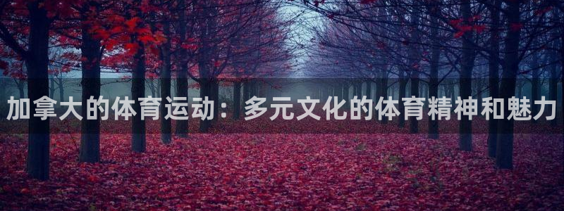 球速体育：加拿大的体育运动：多元文化的体育精神和魅力