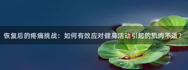球速体育：恢复后的疼痛挑战：如何有效应对健身活动引起的肌肉不适？