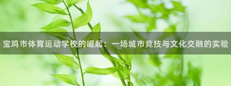 球速体育：宝鸡市体育运动学校的崛起：一场城市竞技与文化交融的实验