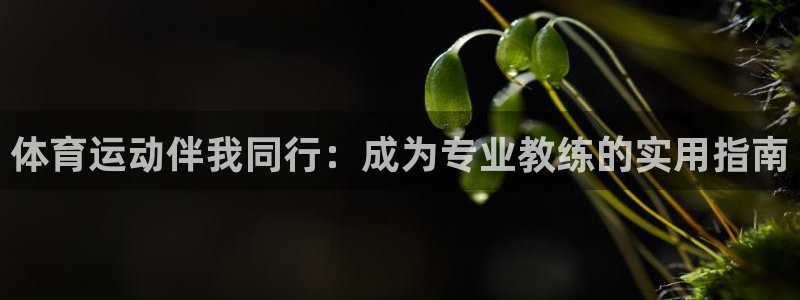 球速体育：体育运动伴我同行：成为专业教练的实用指南