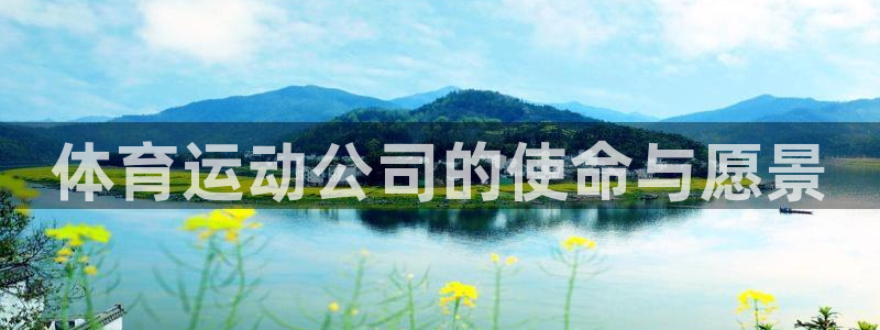 球速体育：体育运动公司的使命与愿景