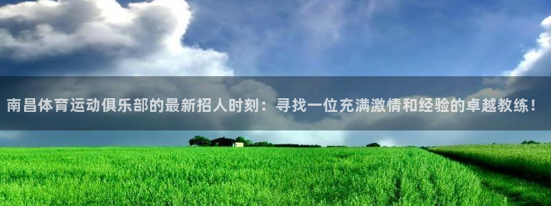 球速体育：南昌体育运动俱乐部的最新招人时刻：寻找一位充满激情和经验的卓越教练！