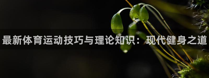 球速体育：最新体育运动技巧与理论知识：现代健身之道