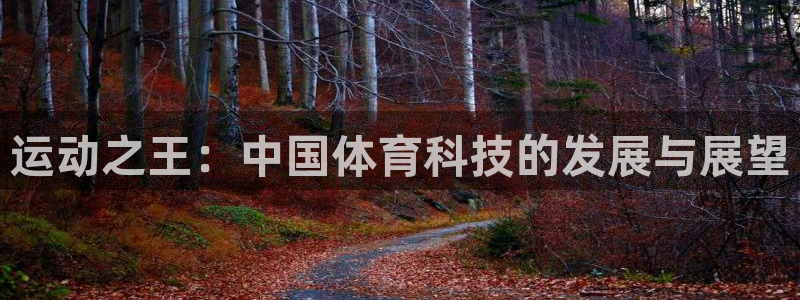 球速体育