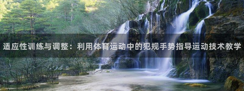球速体育：适应性训练与调整：利用体育运动中的犯规手势指导运动技术教学