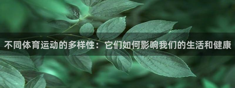 球速体育