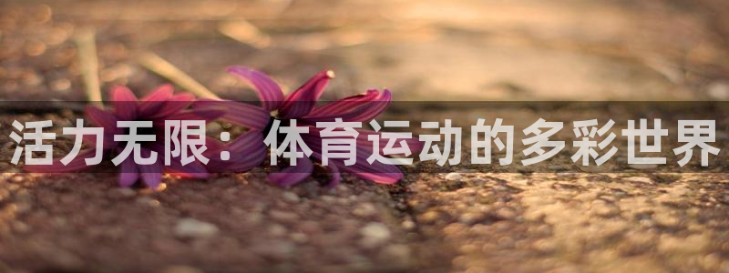 球速体育：活力无限：体育运动的多彩世界