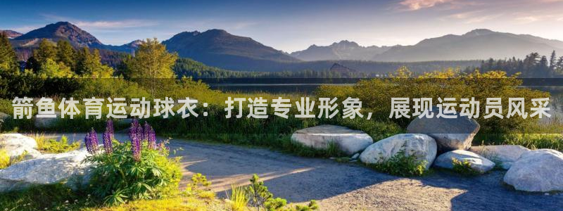 球速体育：箭鱼体育运动球衣：打造专业形象，展现运动员风采