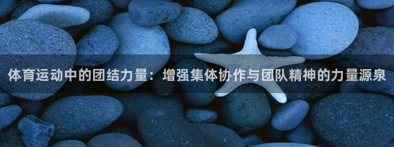 球速体育：体育运动中的团结力量：增强集体协作与团队精神的力量源泉
