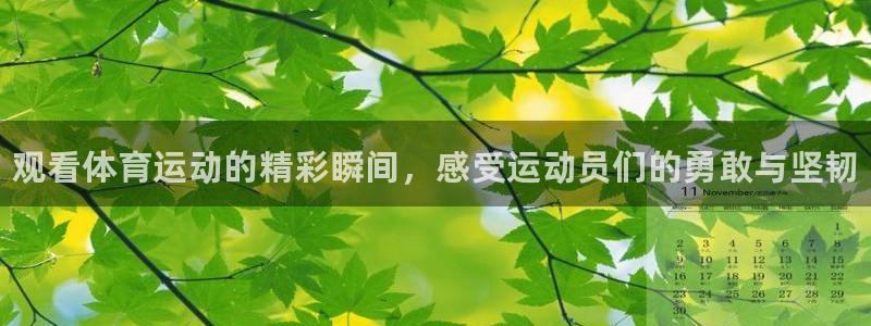 球速体育：观看体育运动的精彩瞬间，感受运动员们的勇敢与坚韧