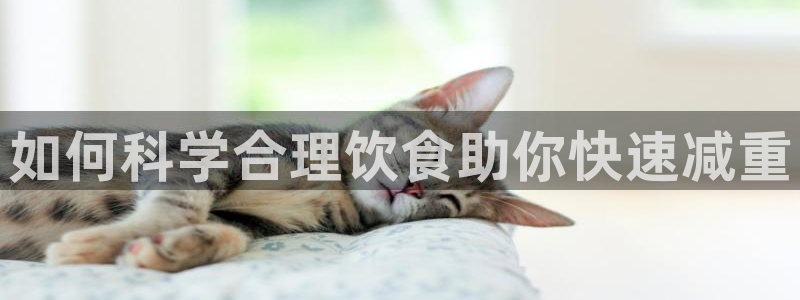 球速体育：如何科学合理饮食助你快速减重